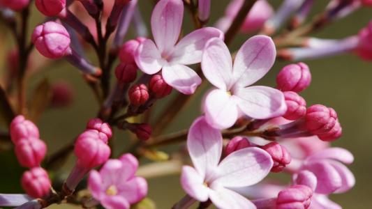 运城白带异常的症状有哪些