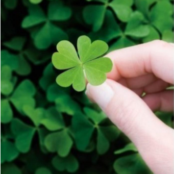 运城现代妇科医院