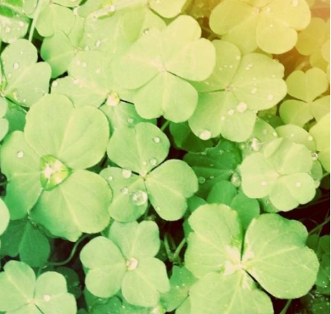 运城现代妇科医院