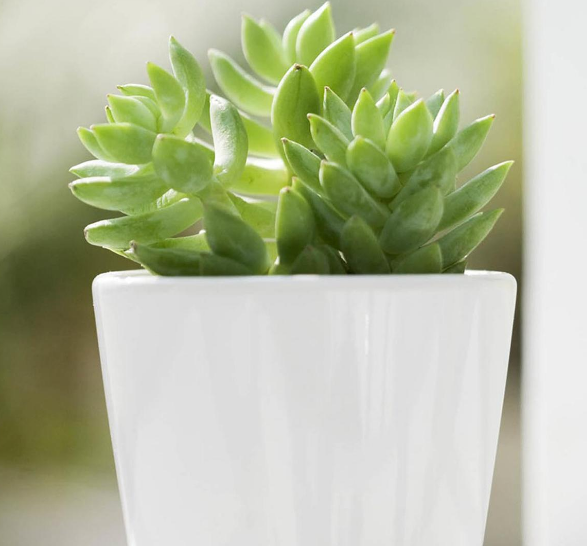 运城现代妇科医院