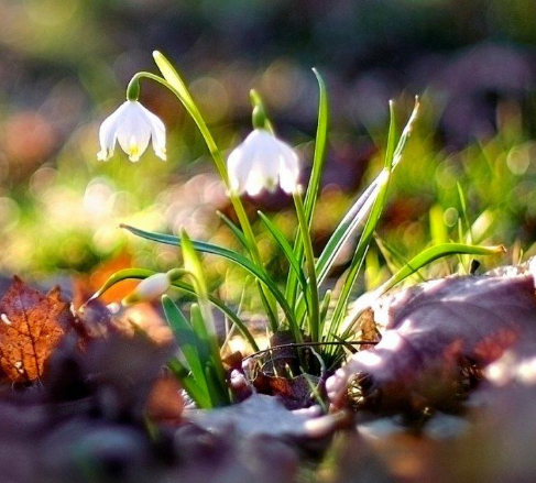 运城现代妇科医院