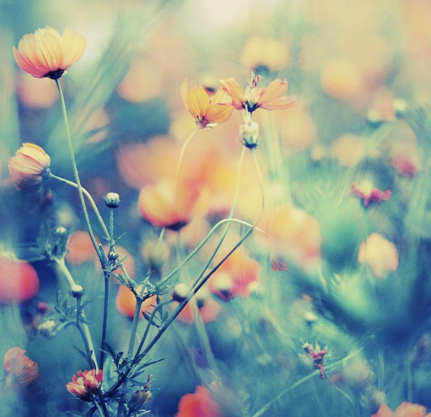 运城现代妇科医院