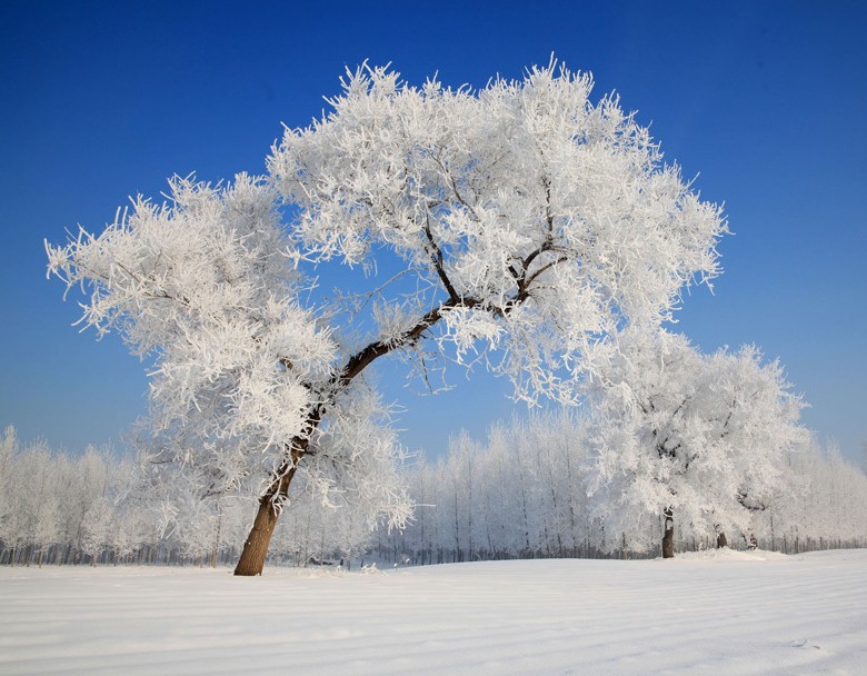 运城哪治疗卵巢囊肿便宜