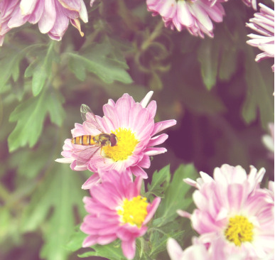 运城做个怀孕检查多少钱?