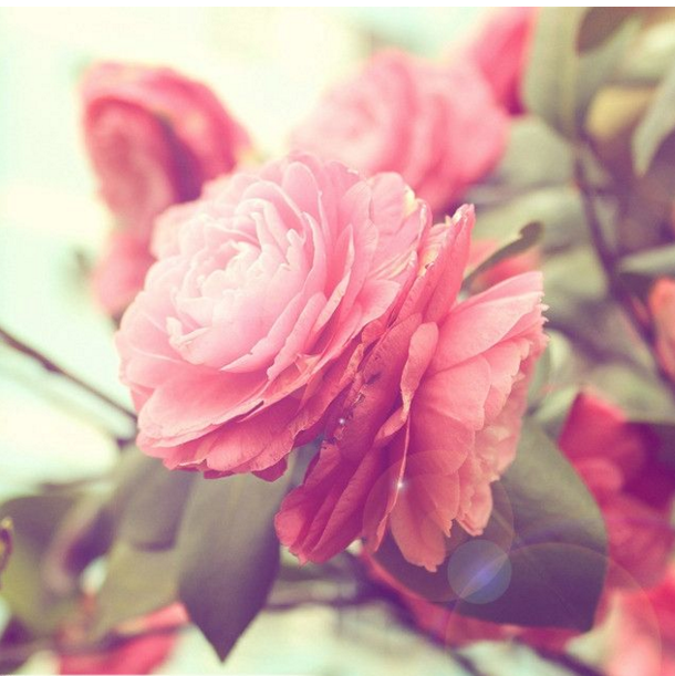 运城怎么知道自己怀孕了没有？