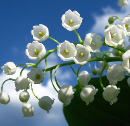 运城卵巢囊肿有什么症状?